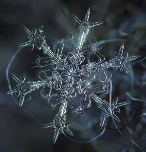 snowflake